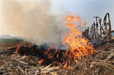 10月29日，天津蓟县老宋庄村，路边一片田地的秸秆燃起大火。