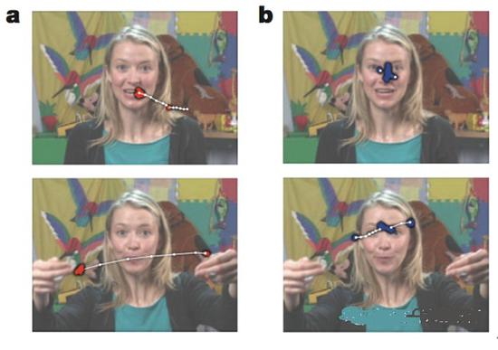 图a和图b分别是孤独症患儿和普通婴儿在6个月大时的注视模式，记录了时长为2秒的注视动作。白色实线代表扫视轨迹，红色点和蓝色点代表注视位置。
