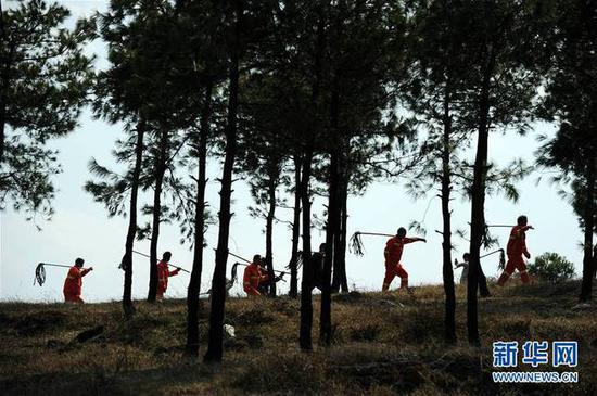 3月10日，沙子坡林场的护林员在林区巡查。 新华社发（杨文斌 摄）