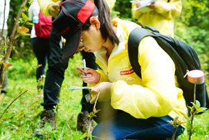 广汽丰田员工志愿者在记录植物信息