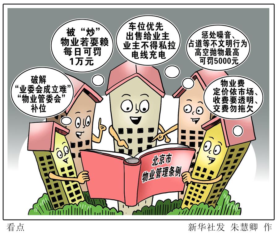 （图表·漫画）［新华调查］看点