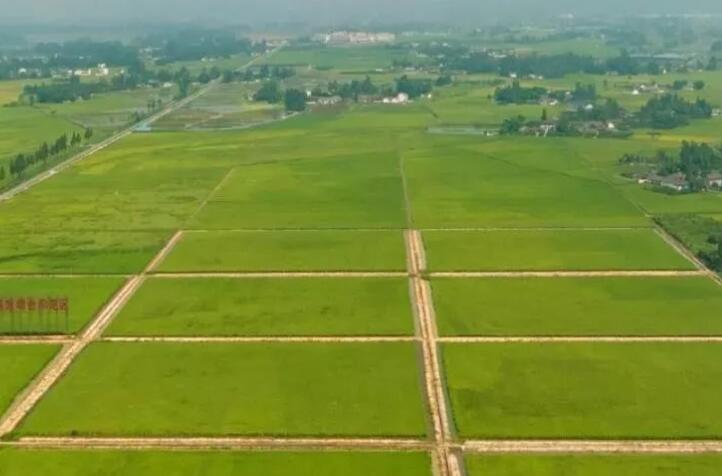 农业农村部将进一步加速推进高标准农田建设