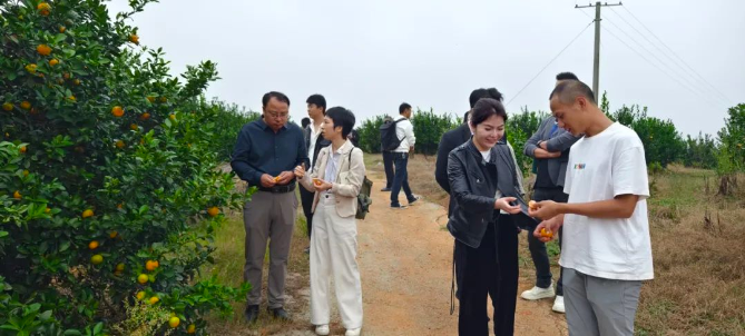 “谋大桔、集大橙、赣大事”玉湖冷链第3期源头采风活动圆满结束