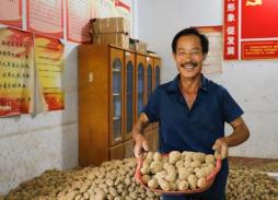 土豆“飞”上天