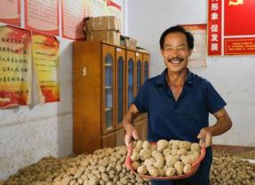 土豆“飞”上天